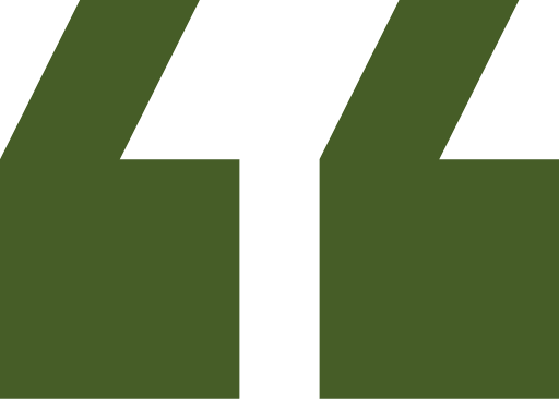 Bold green quotation marks design
